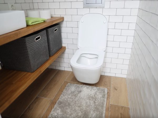 Qual a Melhor Bacia Sanitária Deca para o Seu Banheiro?
